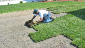 Sod insulation Wagner Sod Company - Landscaping & Irrigation Inc.- Twin Cities