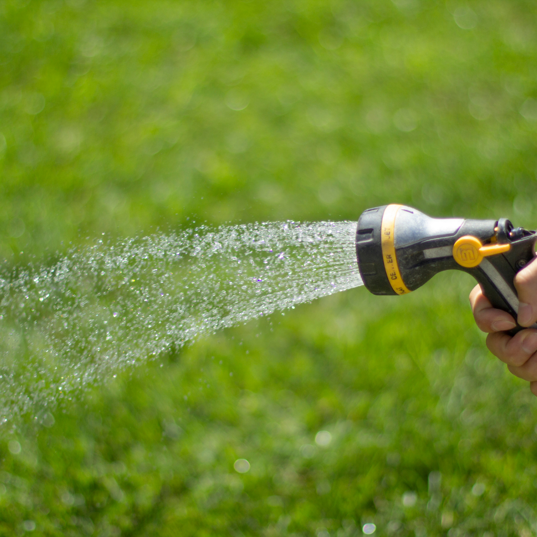 How do you water your lawn?